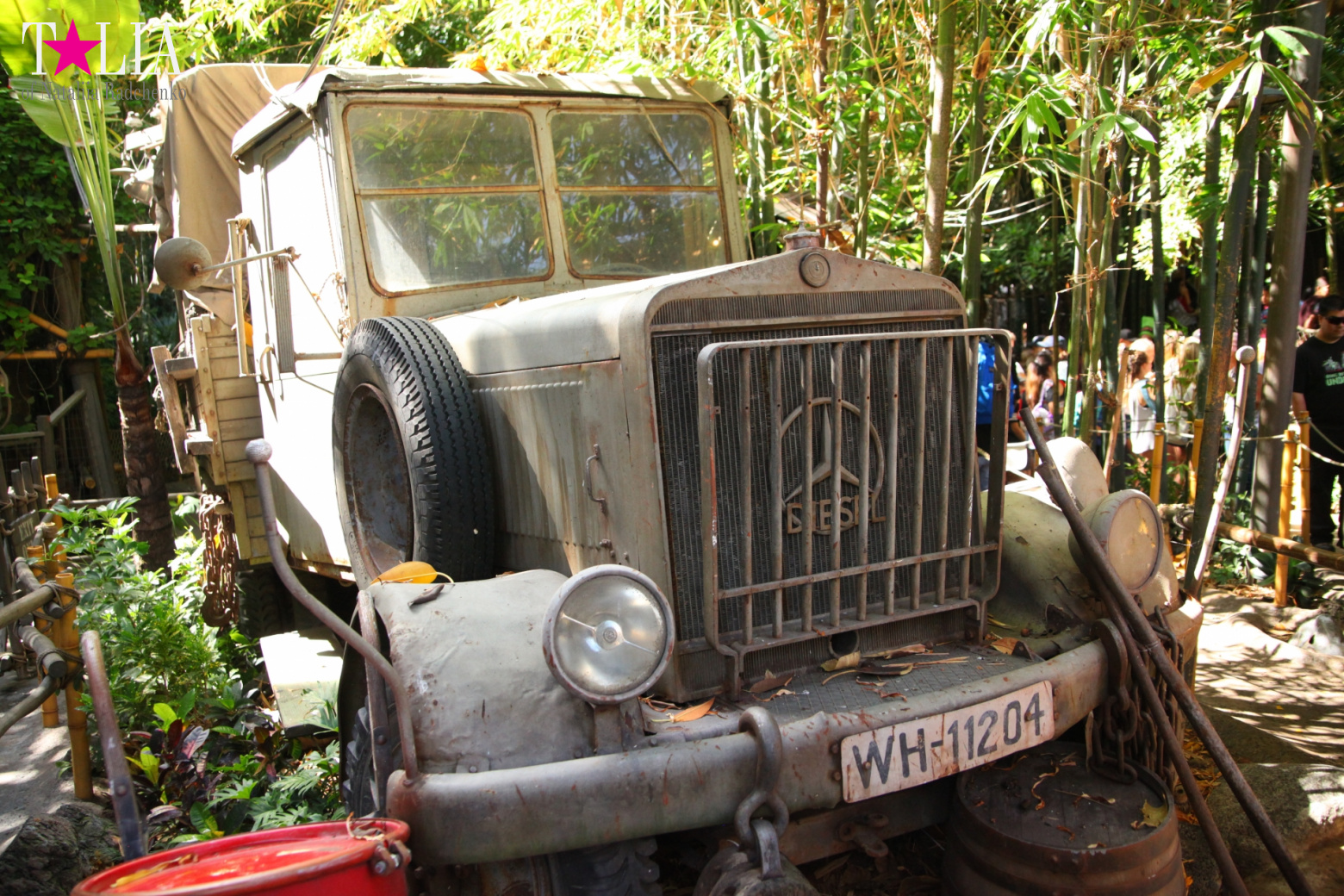 Диснейленд в Калифорнии (Анахайм, Лос Анжелес). Аттракционы